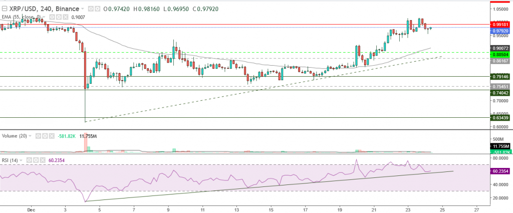 تحليل سعر الريبل مقابل الدولار تحليل 24 ديسمبر