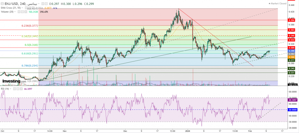 سعر إنجين كوين مقابل الدولار تحليل وأهداف - 11 فبراير
